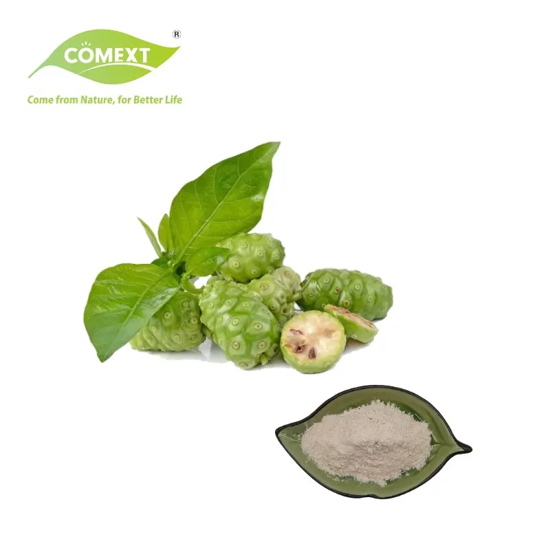 Comext Herbway ナチュラル サプリメント工場直接販売モリンダ シトリフォリア リン ノニ エキス植物エキス